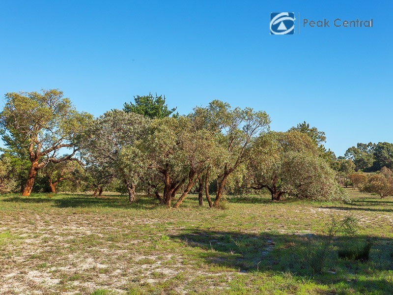 25 Casella Place, Wandi WA 6167