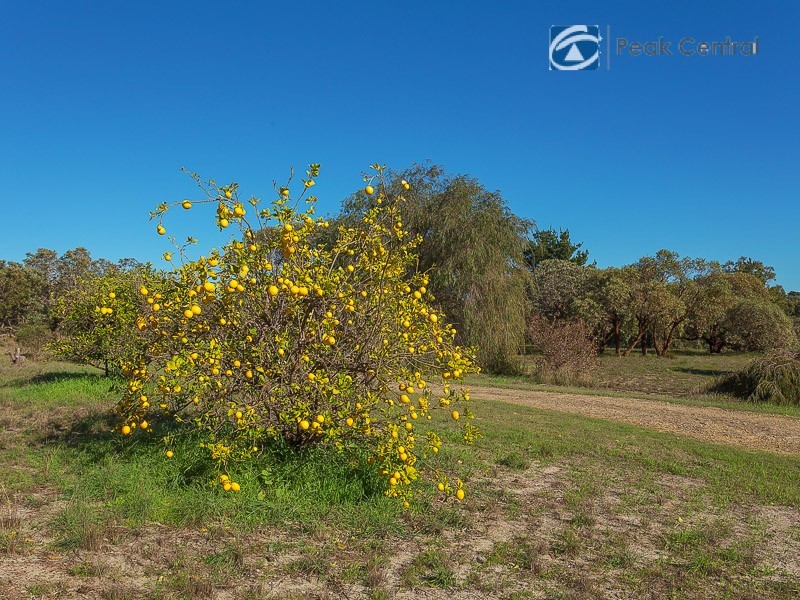 25 Casella Place, Wandi WA 6167