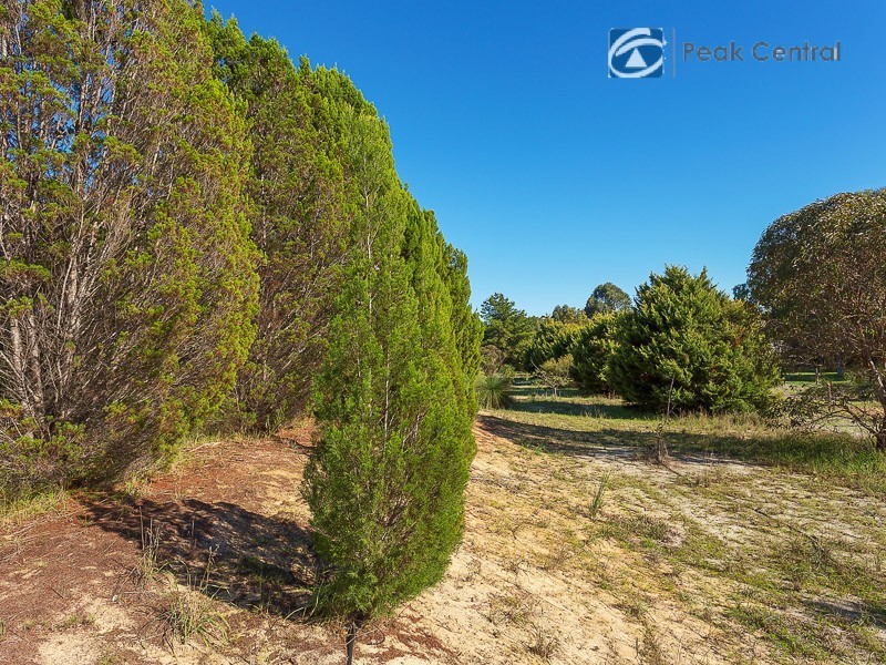 25 Casella Place, Wandi WA 6167