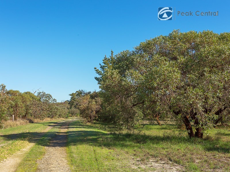 25 Casella Place, Wandi WA 6167