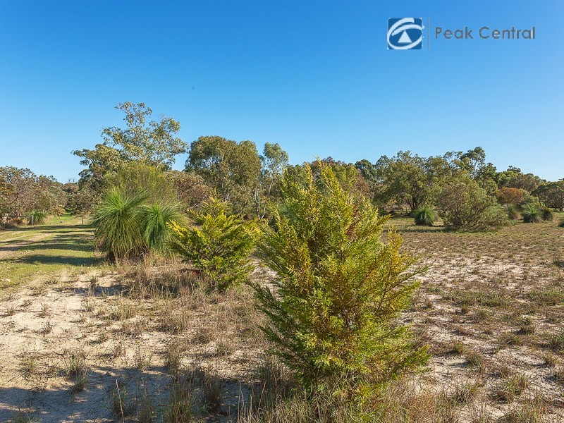 25 Casella Place, Wandi WA 6167