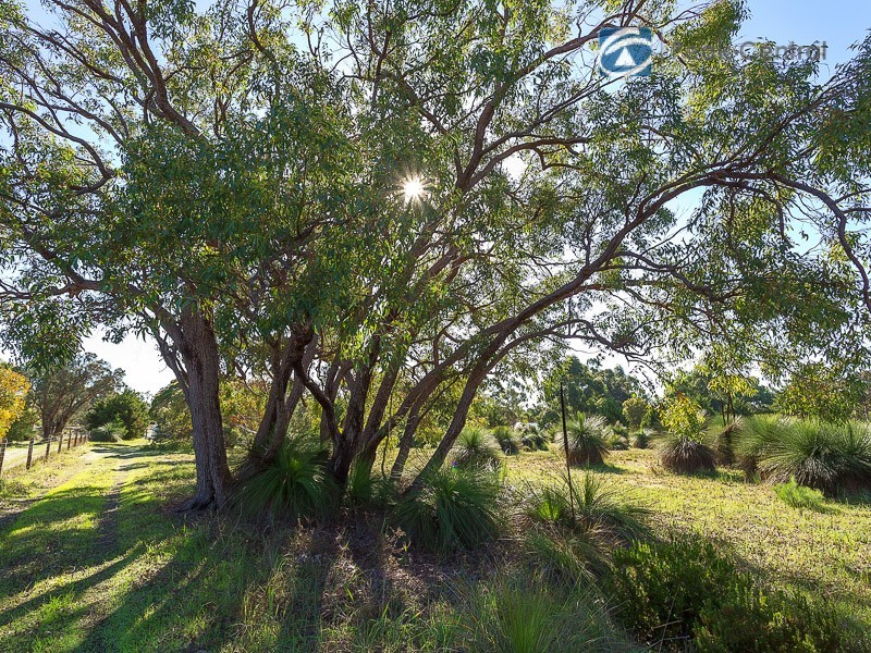 25 Casella Place, Wandi WA 6167