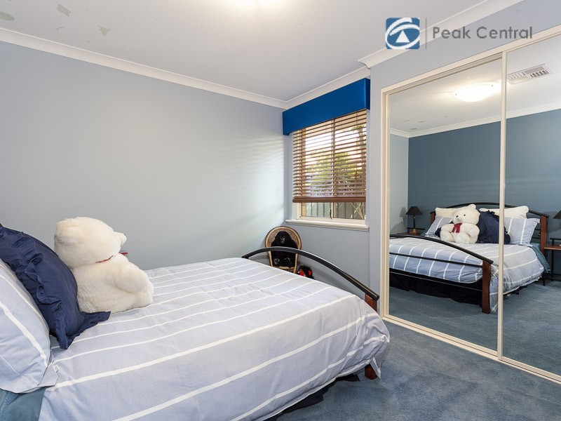 19 Dryandra Elbow, Atwell WA 6164