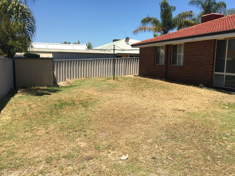 17 Dreier Court, Atwell WA 6164