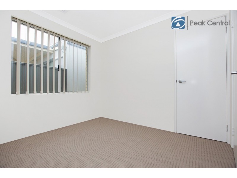 41 Wattleseed Ave, Banjup WA 6164