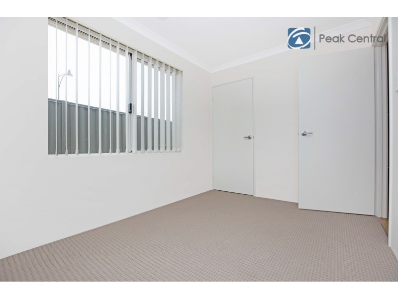 41 Wattleseed Ave, Banjup WA 6164