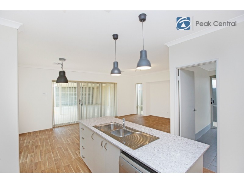 41 Wattleseed Ave, Banjup WA 6164