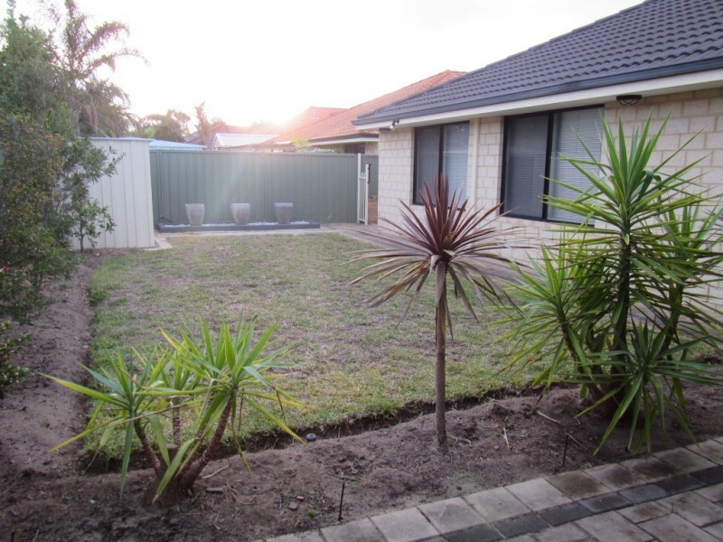 3 Sedge Link, Atwell WA 6164