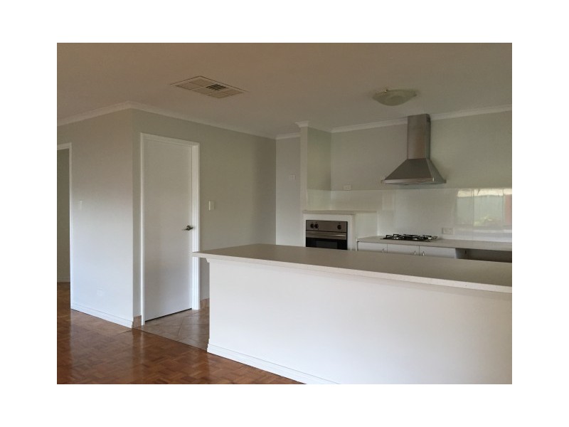 19 Lombe Gardens, Atwell WA 6164