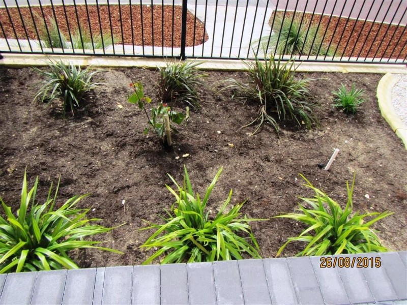 7B Shrike Lane, Beeliar WA 6164