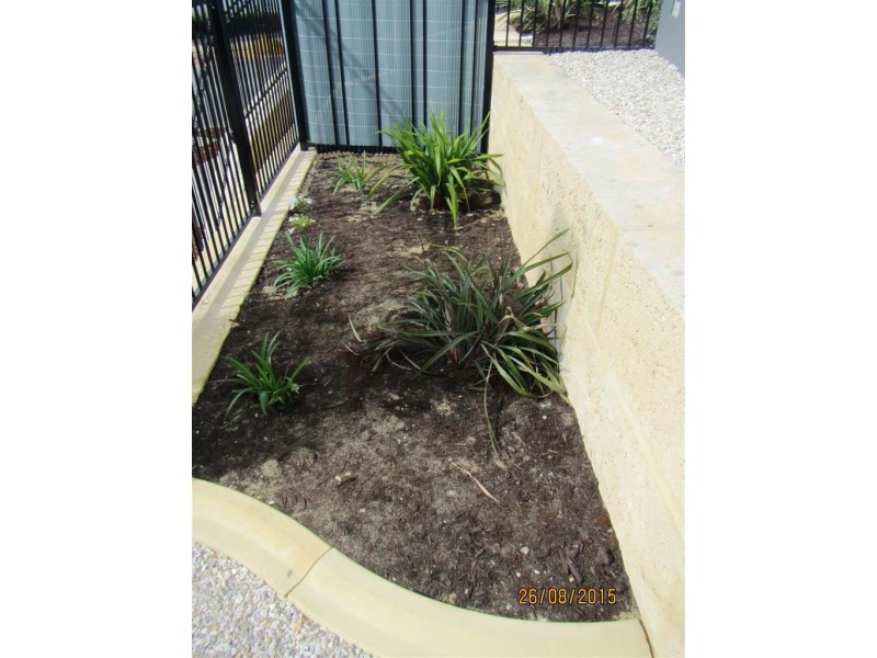 7B Shrike Lane, Beeliar WA 6164