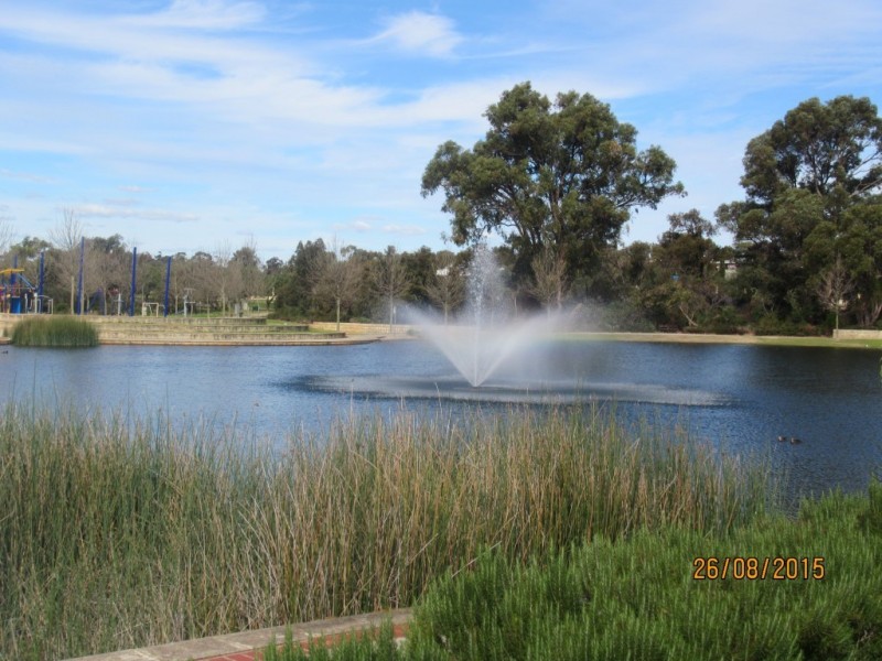 7B Shrike Lane, Beeliar WA 6164