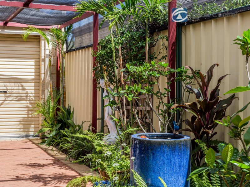 23 Reeves Entrance, Success WA 6164