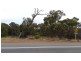 165 Mortimer Road, Casuarina WA 6167