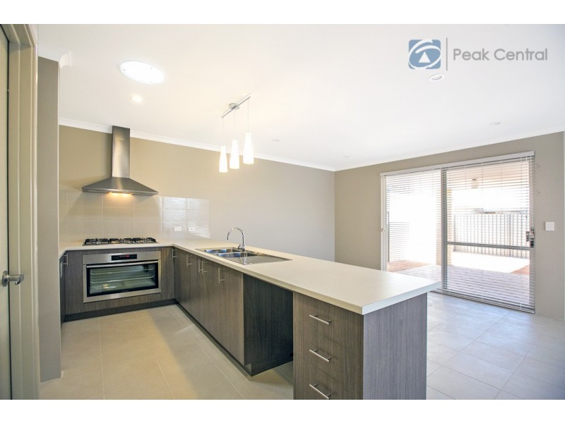 18 Cordata Avenue, Wandi WA 6167