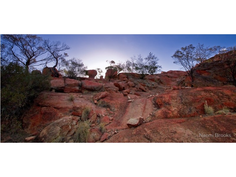 93 Criddle Street, Mount Magnet WA 6638