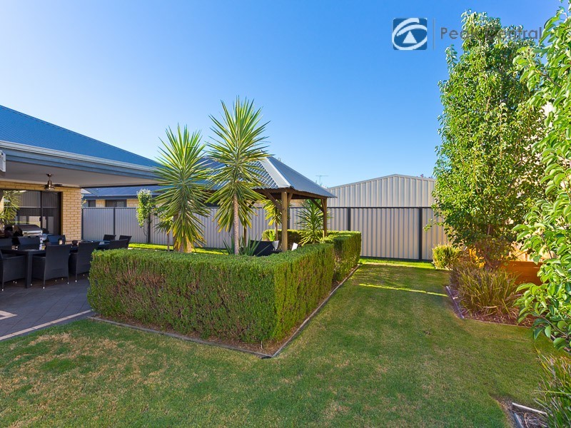 29 Armand Drive, Aubin Grove WA 6164