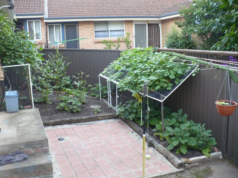 Macquarie Fields NSW 2564