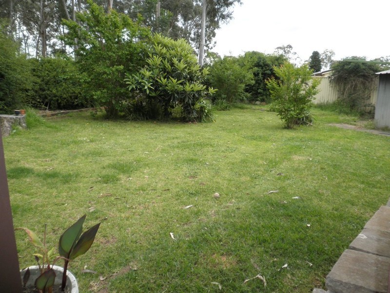 3 Crinum Place, Macquarie Fields NSW 2564