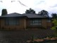 3 Bronzewing Street, Ingleburn NSW 2565