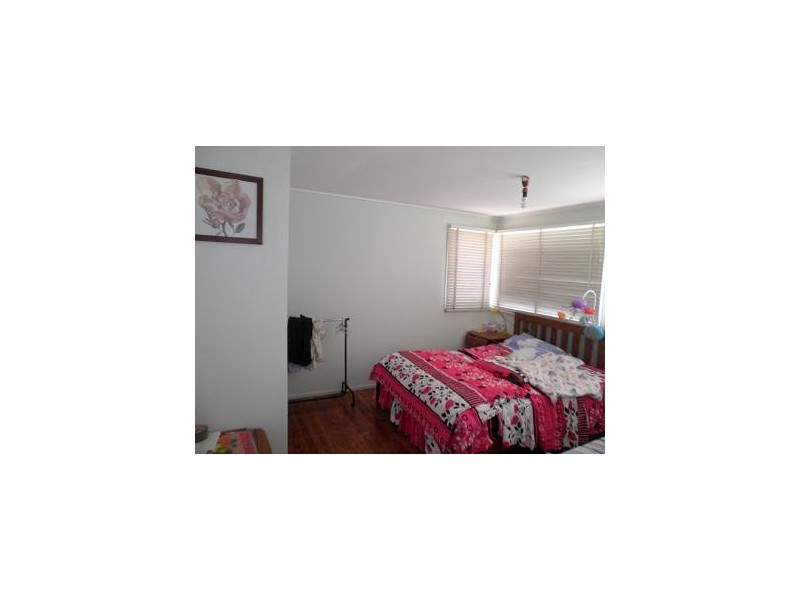 46 First Avenue, Macquarie Fields NSW 2564