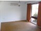 19 Nelson Street, Minto NSW 2566