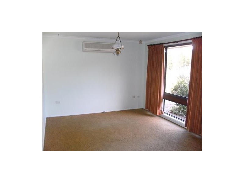 19 Nelson Street, Minto NSW 2566