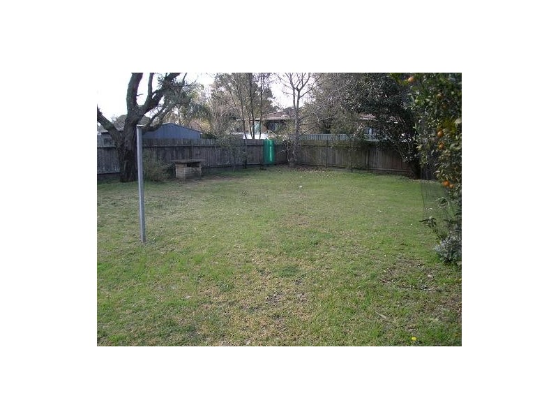 19 Nelson Street, Minto NSW 2566