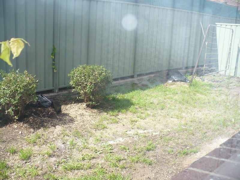 Macquarie Fields NSW 2564