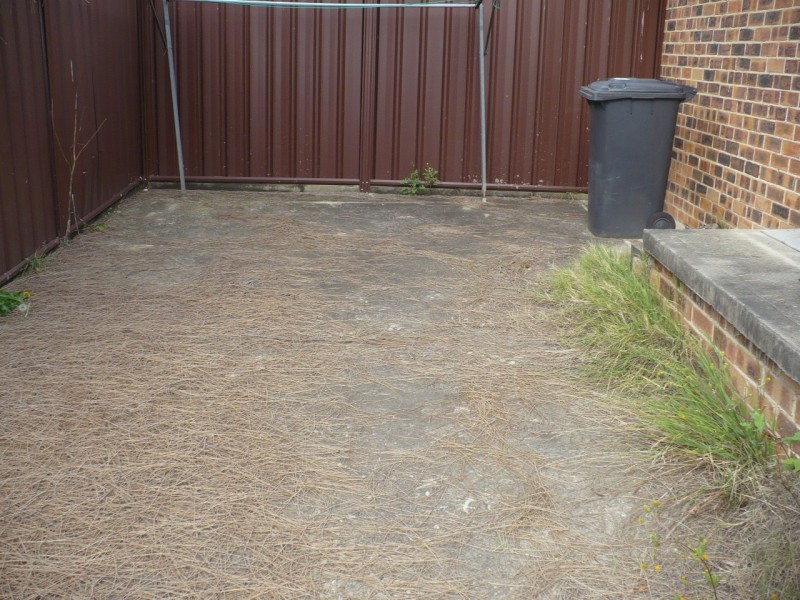 Minto NSW 2566