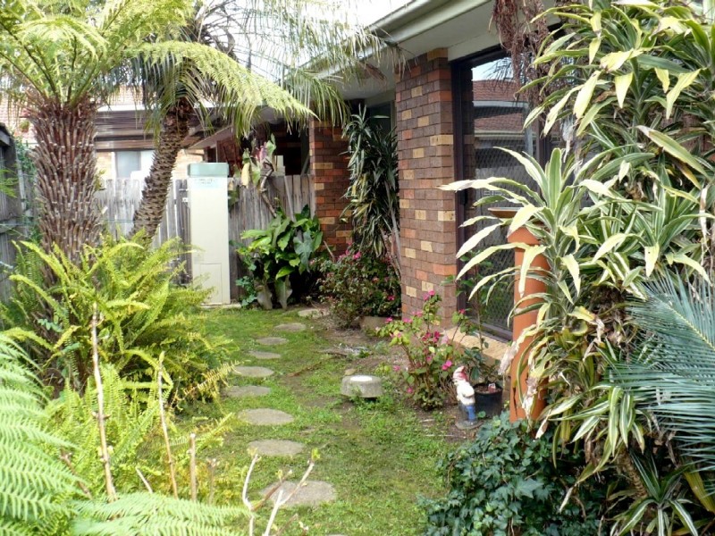 Macquarie Fields NSW 2564