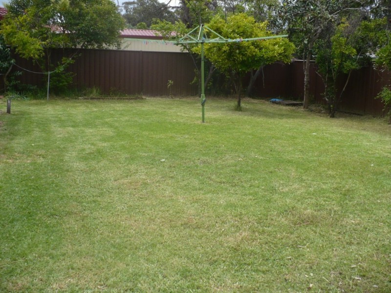 Macquarie Fields NSW 2564