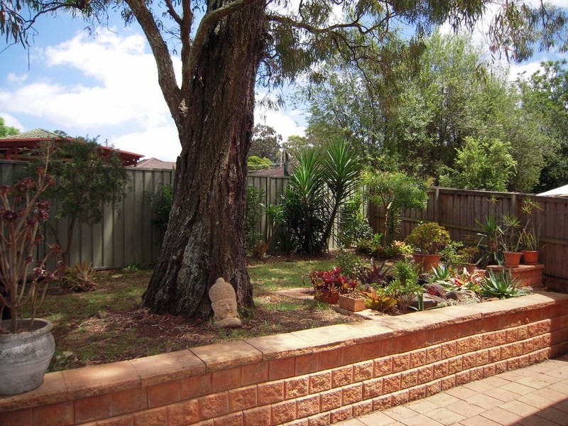 Macquarie Fields NSW 2564