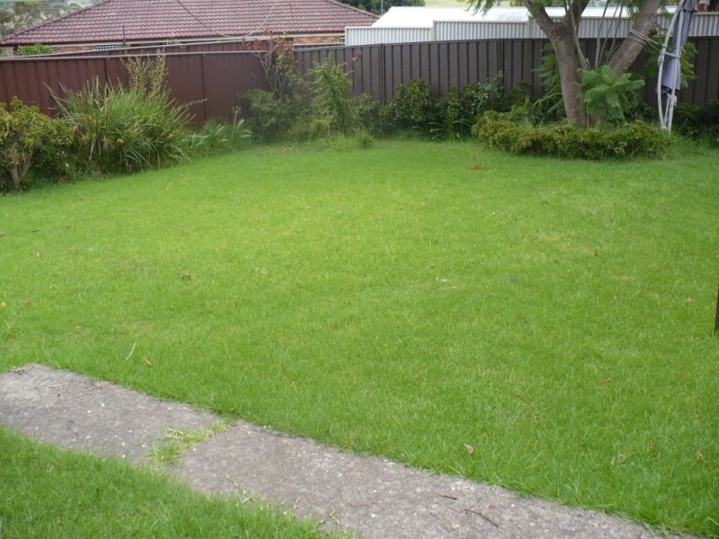 St Andrews NSW 2566