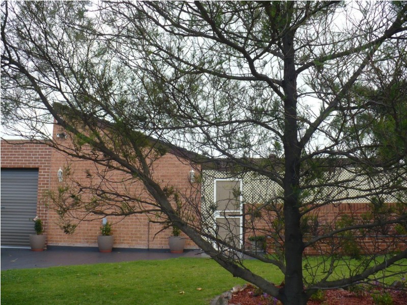 9/9 Cotula Place, Macquarie Fields NSW 2564