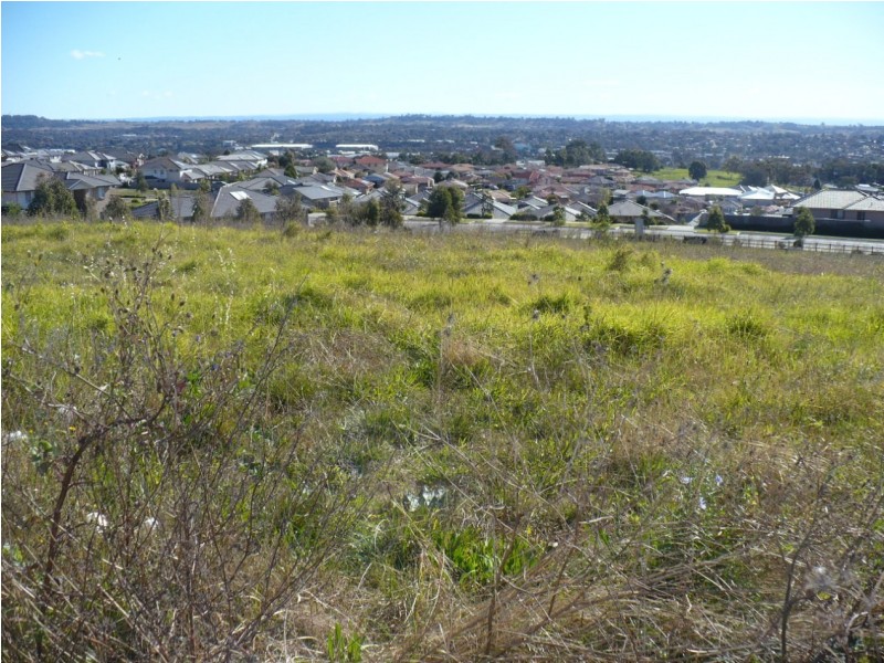 120 Eagleview Road, Minto NSW 2566