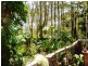 6 Scarborough Terrace, Macleay Island QLD 4184