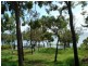 1 Treasure Island Avenue, Karragarra Island QLD 4184