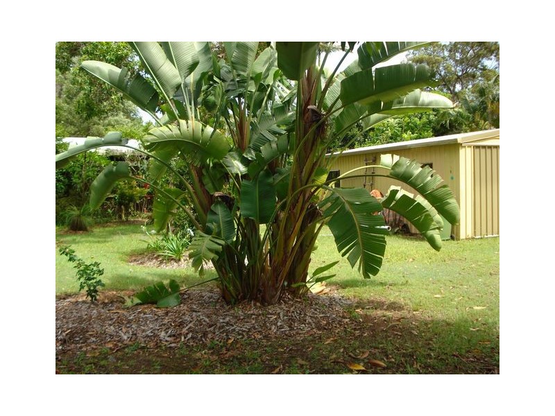 1 Treasure Island Avenue, Karragarra Island QLD 4184