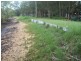 3 Attunga Street, Macleay Island QLD 4184