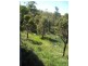 6 Timothy, Macleay Island QLD 4184