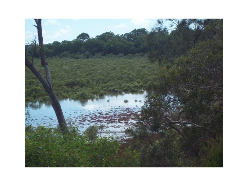 6 Timothy, Macleay Island QLD 4184