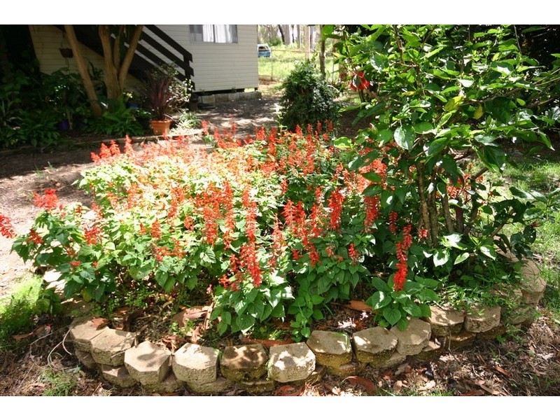 7 Noondoo St, Macleay Island QLD 4184