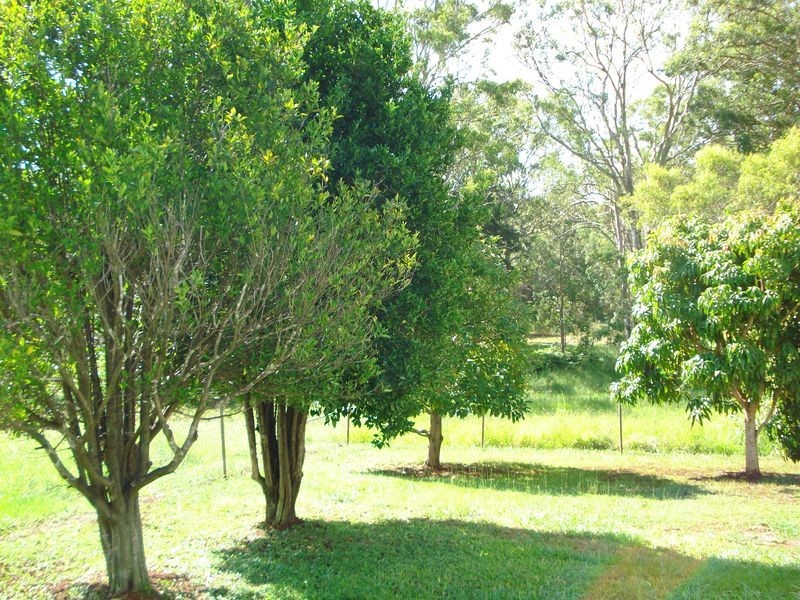 66 Lucas Drive, Lamb Island QLD 4184