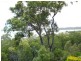 17 Lovell Parade, Lamb Island QLD 4184