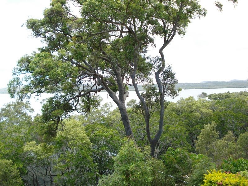 17 Lovell Parade, Lamb Island QLD 4184