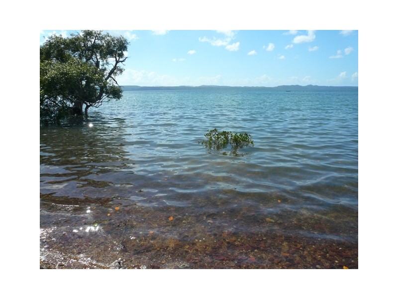 10 Coorong Street, Macleay Island QLD 4184