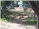 49 Orion Street, Macleay Island QLD 4184