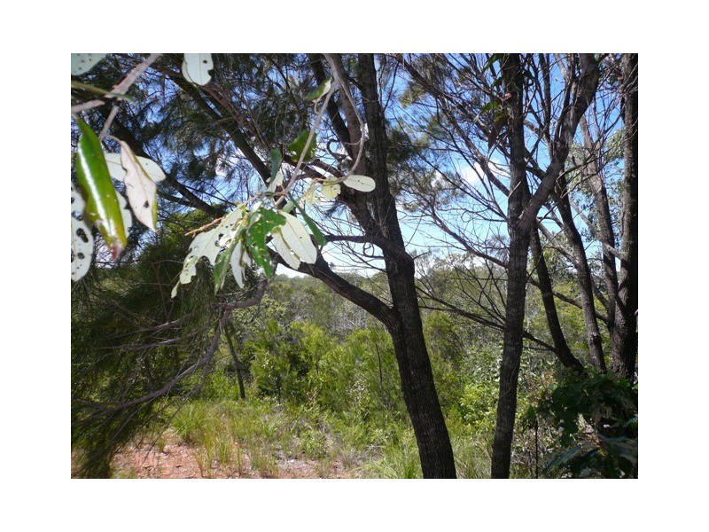 14 Emita Street, Macleay Island QLD 4184