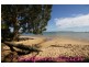 20 Tingara Street, Macleay Island QLD 4184